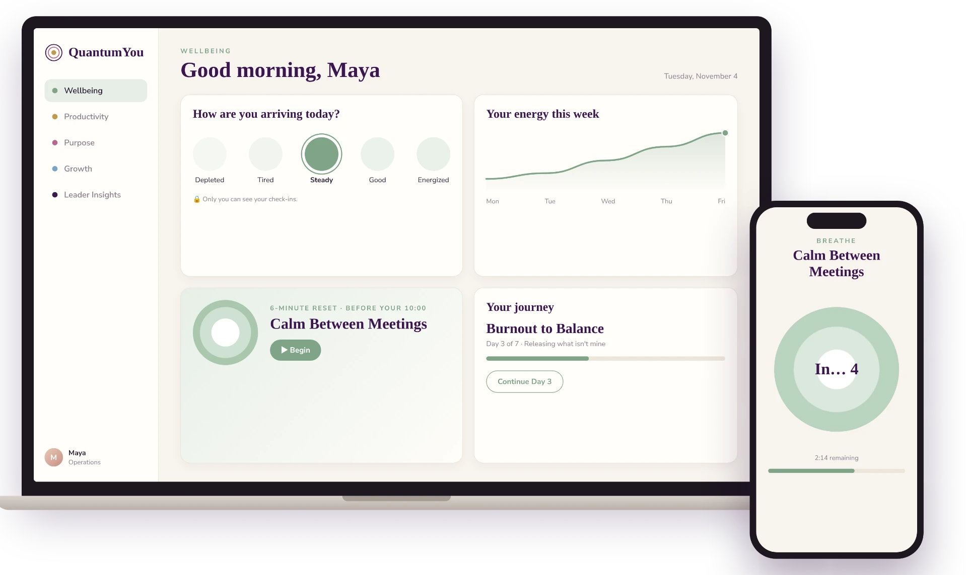 QuantumYou wellbeing screen: a daily check-in, the week's energy chart, a six-minute reset and a guided journey