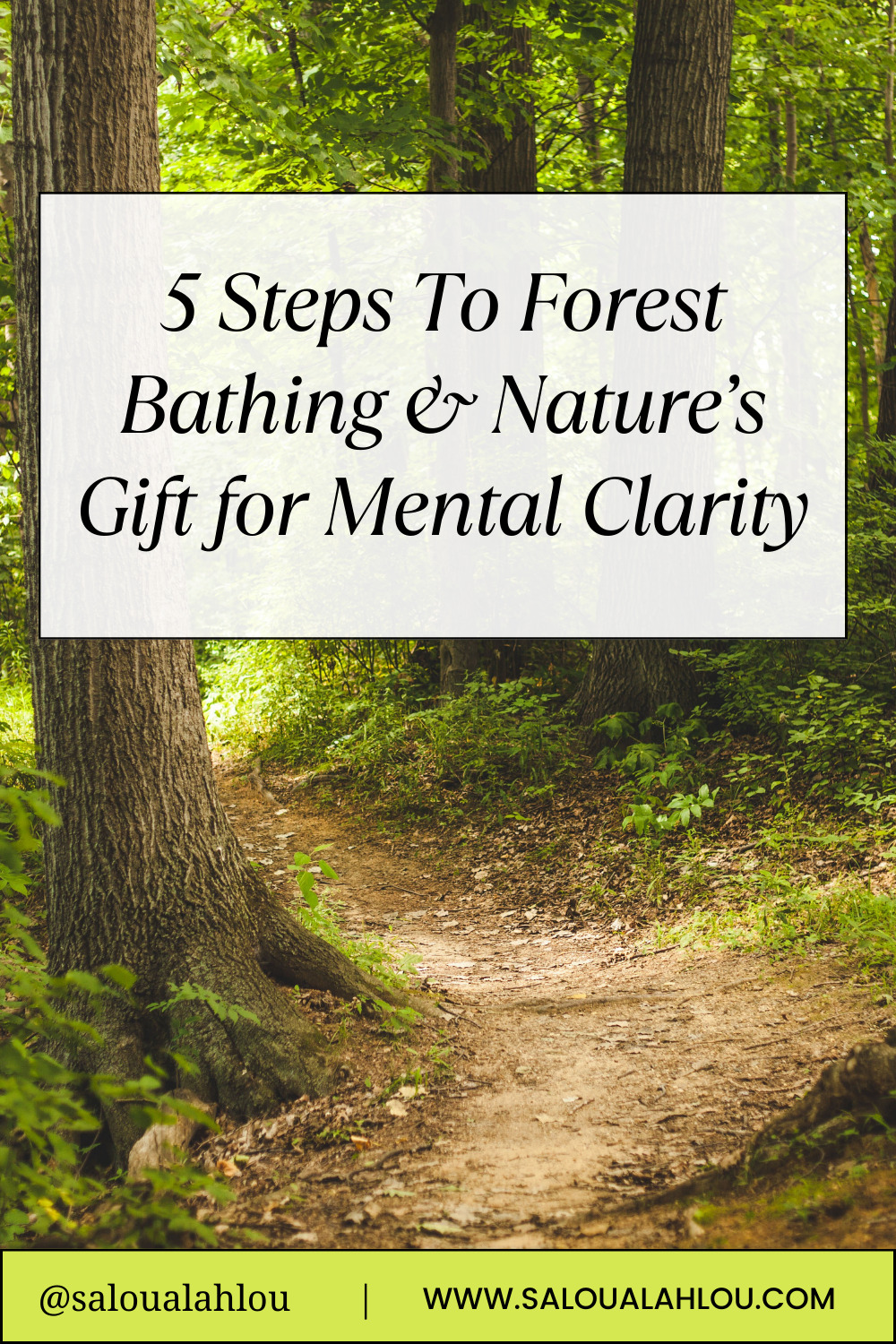 5 Steps To Forest Bathing & Nature’s Gift for Mental Clarity